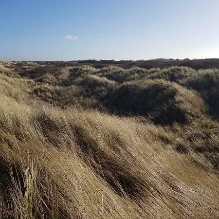 Дом отдыха Mb